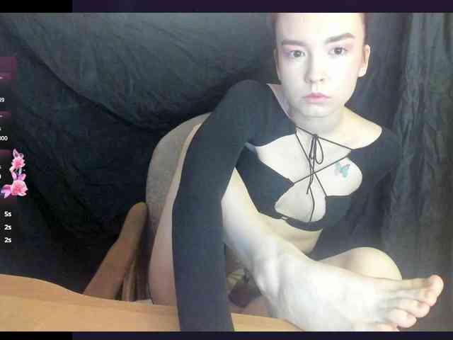 Kiticattt webcam