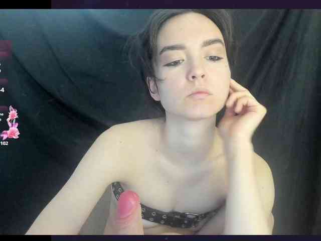 Kiticattt webcam