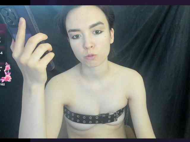 Kiticattt webcam