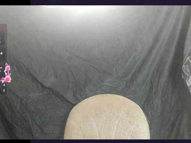 Kiticattt webcam