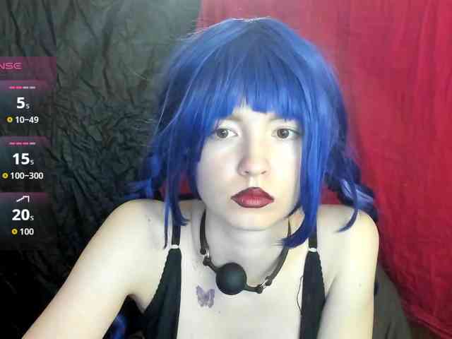 Kiticattt webcam
