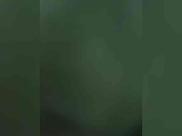 BibaBoba08 webcam