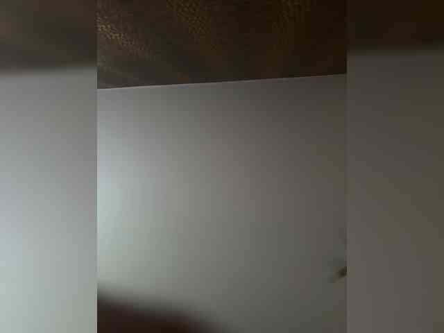 BibaBoba08 webcam