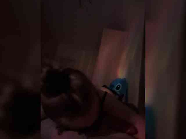 BibaBoba08 webcam