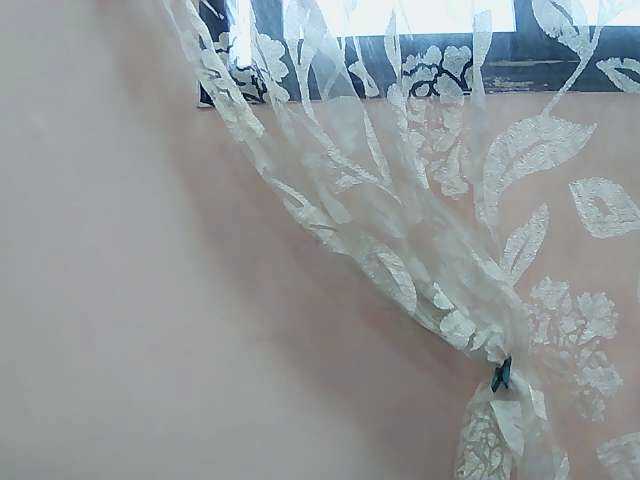 Preview of titounea