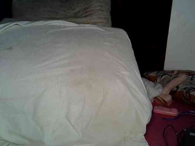 Tingtingtee webcam