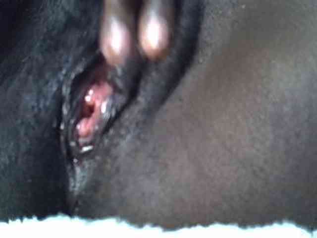 Tingtingtee webcam
