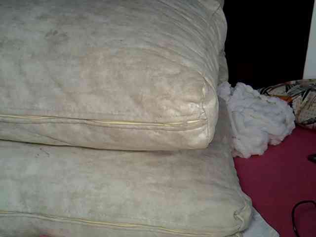 Tingtingtee webcam