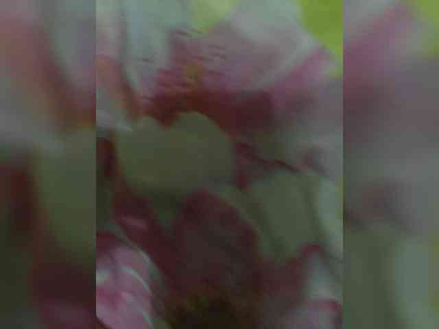 Szanet webcam