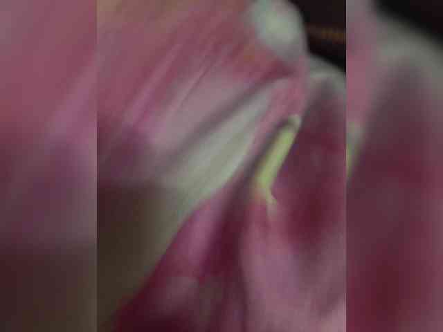 Szanet webcam