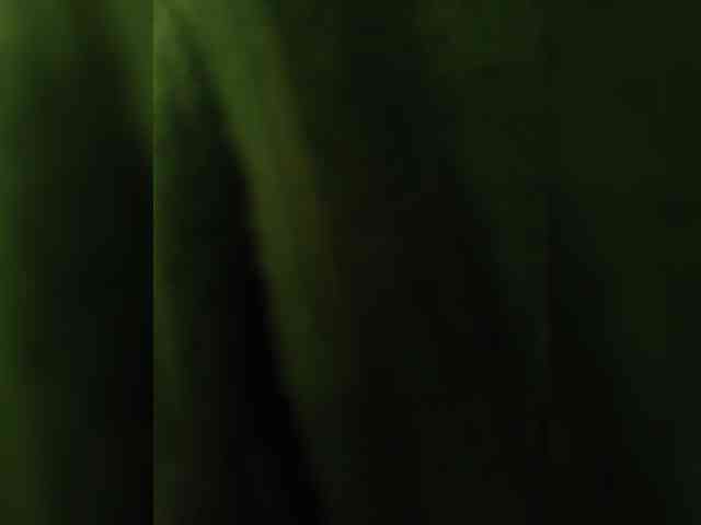 Szanet webcam