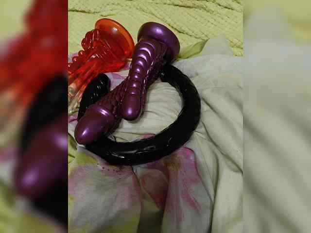 Szanet webcam