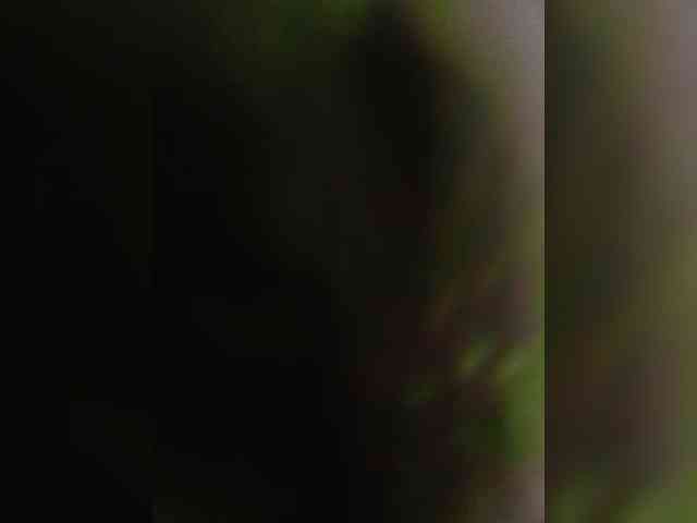 Szanet webcam