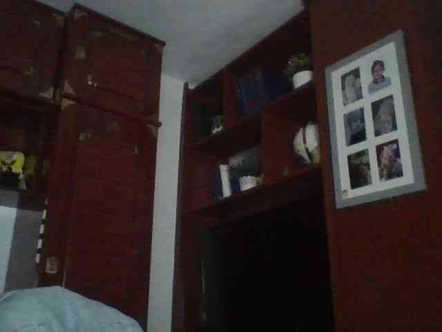 pocoyotop11
