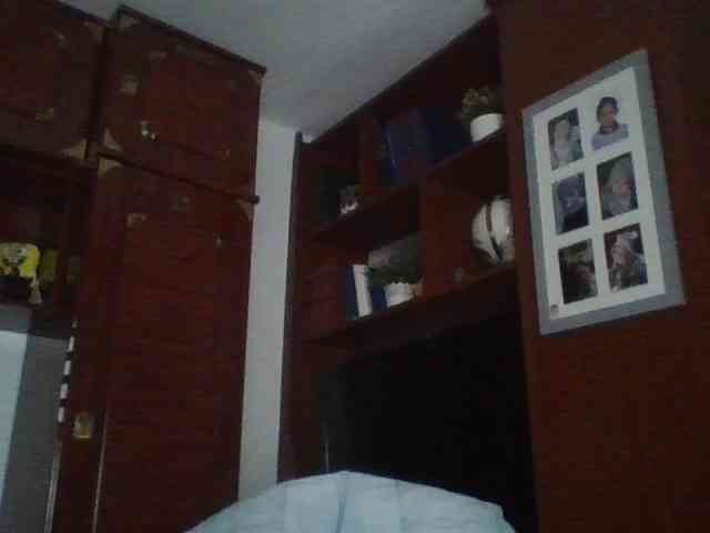 pocoyotop11