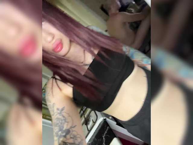 tipi777