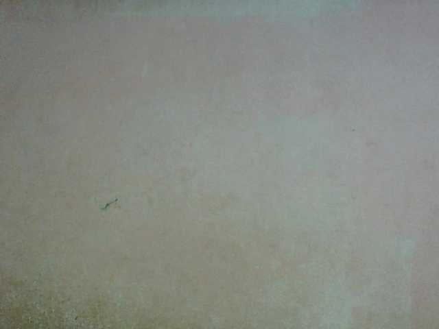 Luna-009 live cam on BongaCams