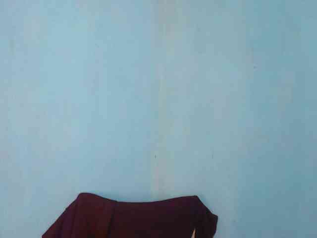 Luna-009 webcam