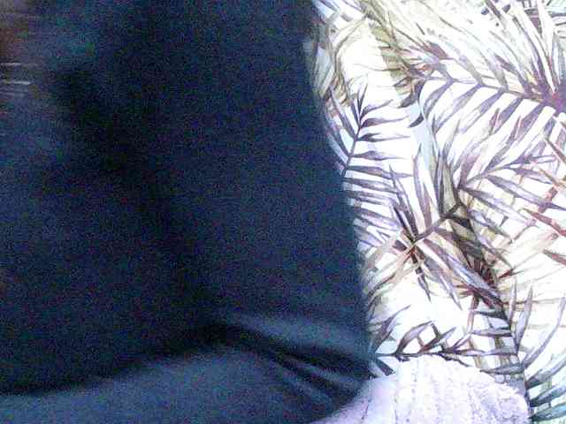 Nina-001 webcam