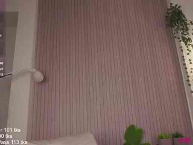 Holy_Hee webcam