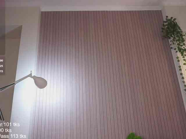 Holy_Hee webcam