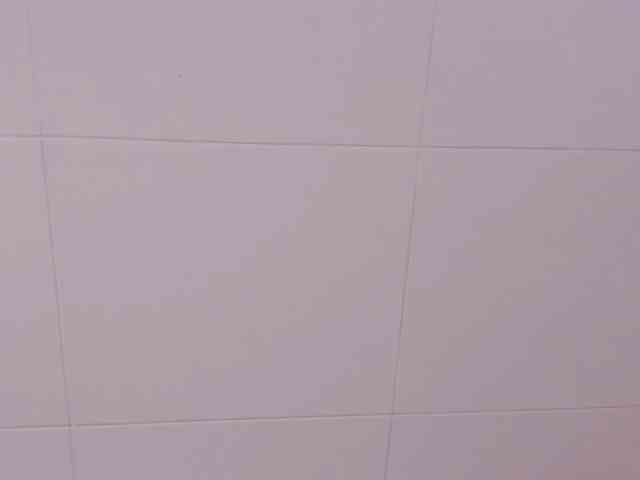 two_milkyway webcam