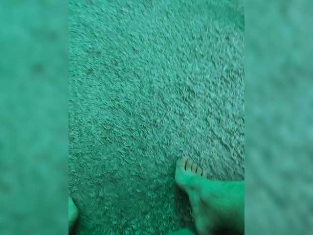 FLABARpara