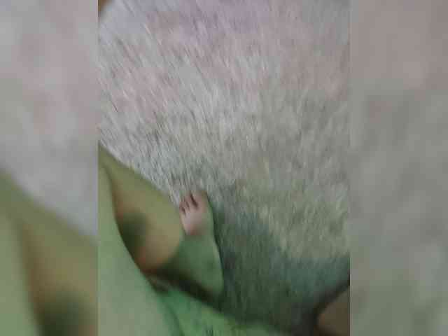FLABARpara webcam