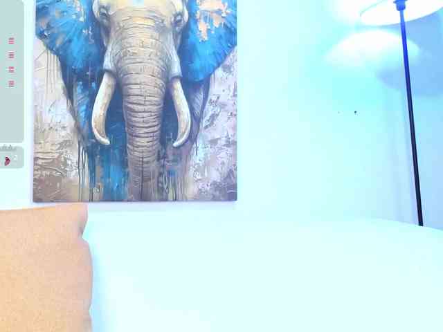 Karim-Nabil webcam