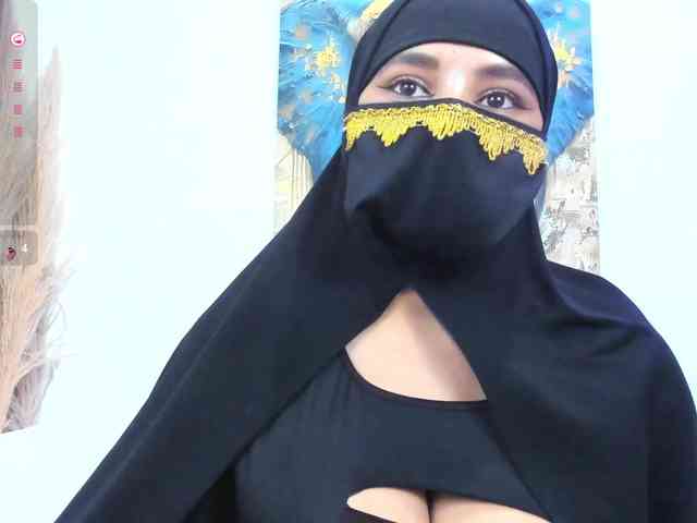 Karim-Nabil webcam