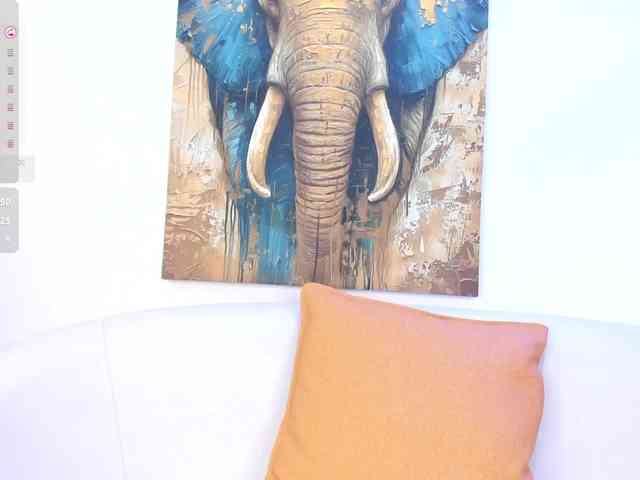 Karim-Nabil webcam