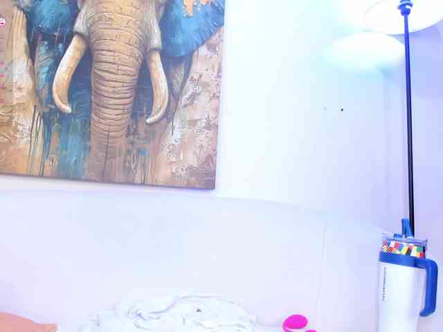 Karim-Nabil webcam