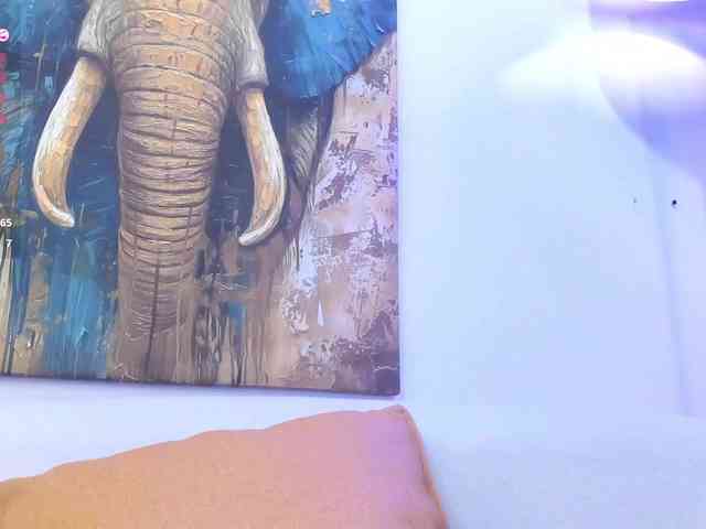 Karim-Nabil webcam