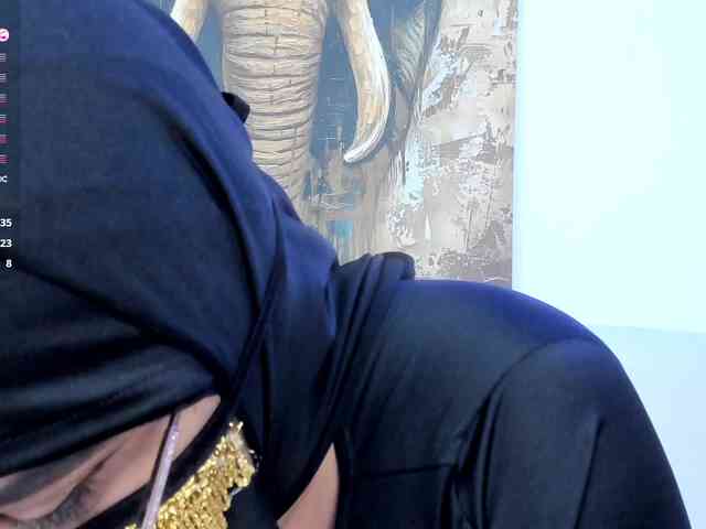 Karim-Nabil webcam