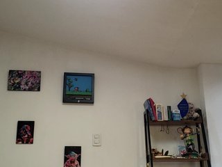 RoxanneRiddle69 Porn Show