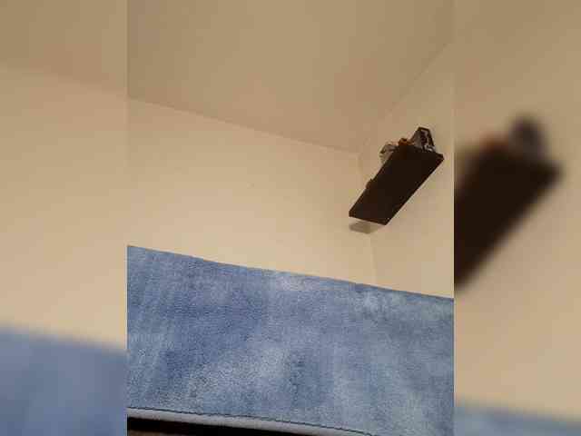 RoxanneRiddle69 webcam