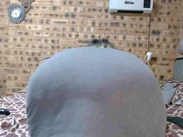 RubyBooty webcam