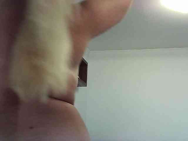 Multiply-orgazm webcam