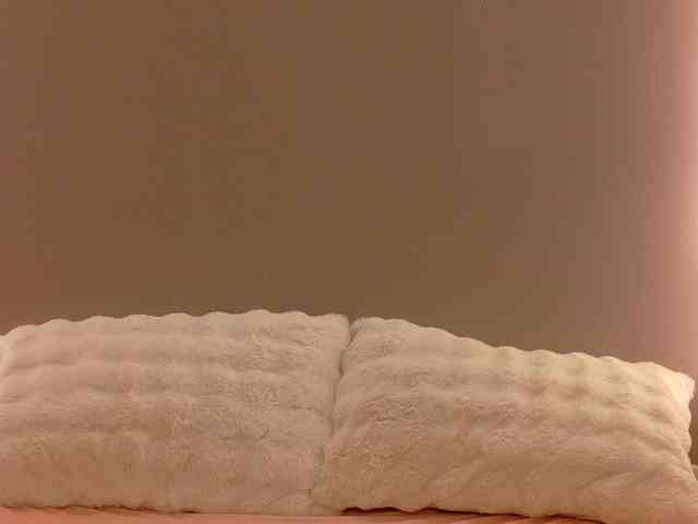 Anaayss webcam