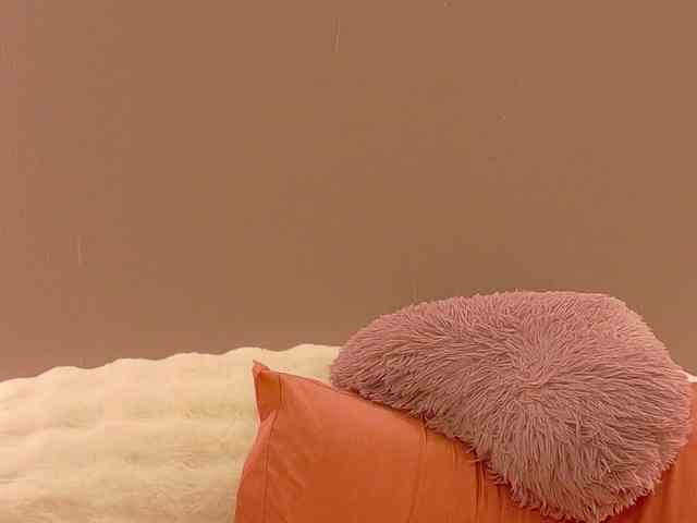 Anaayss webcam