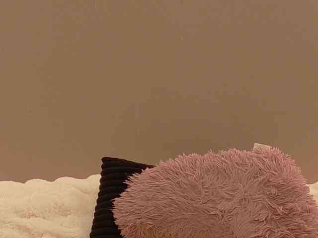 Anaayss webcam