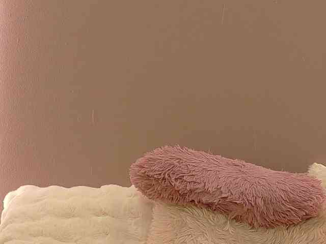 Anaayss webcam