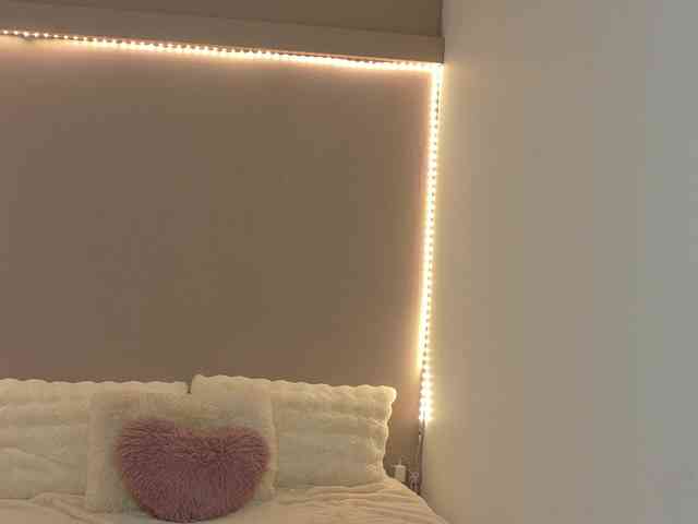 Anaayss webcam