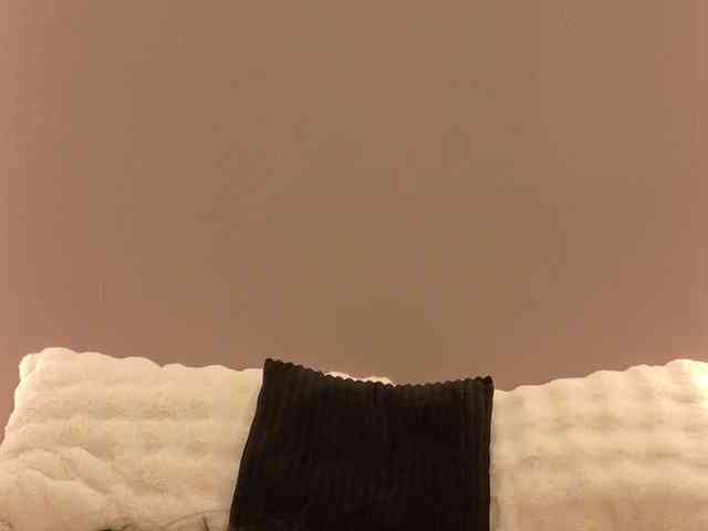 Anaayss webcam