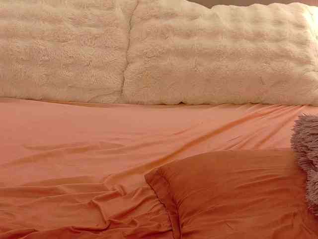 Anaayss webcam