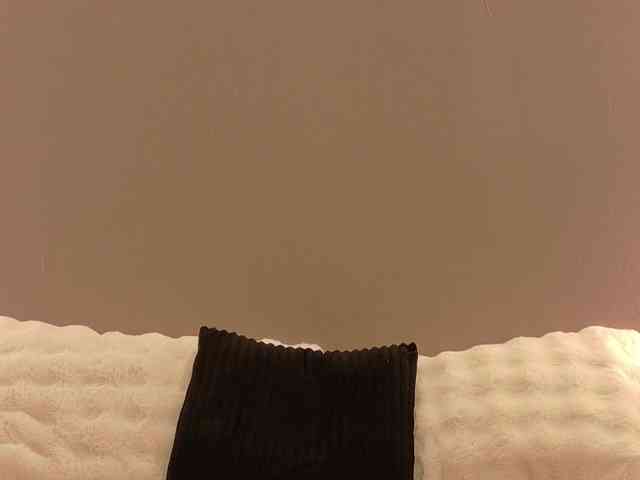 Anaayss webcam