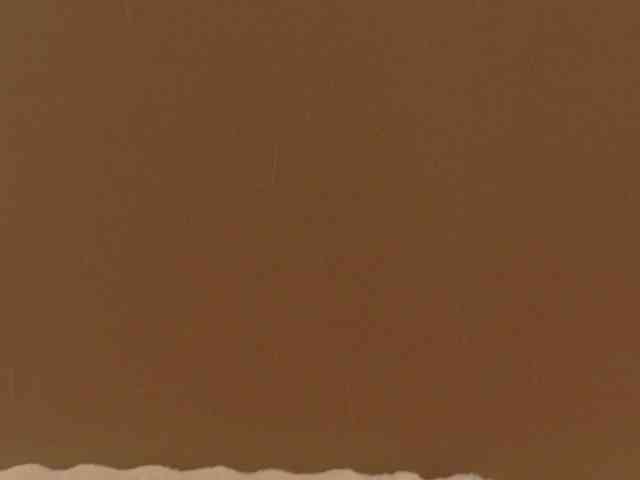 Anaayss webcam