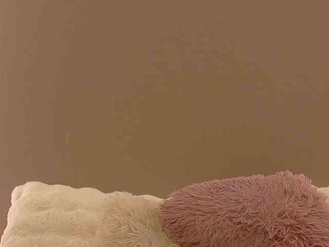 Anaayss webcam