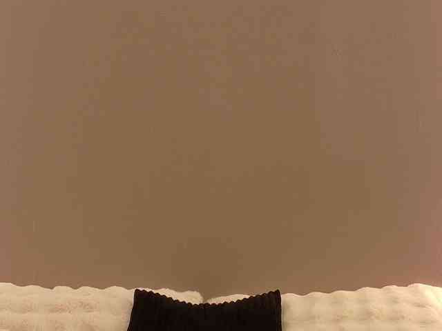 Anaayss webcam