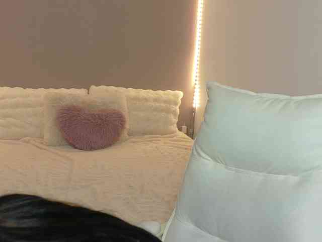 Anaayss webcam